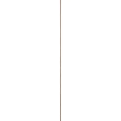 Overig Schaaflat - Hardhout - 9x27mm - 270cm