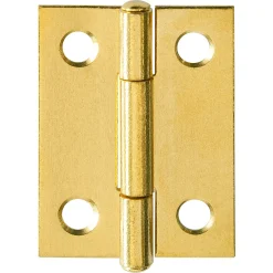 Overig Scharnier - messing - 30x22 mm - 2 stuks