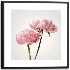 Schilderij Pioenrozen 1 - 53x53 cm - Roze - Hout