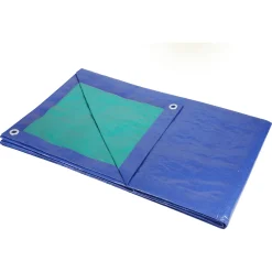 Sencys afdekzeil polyethyleen groen/blauw 130gr/m² 6x8m