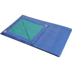 Sencys afdekzeil polyethyleen groen/blauw 75gr/m² 2x3m