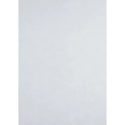 Sencys glasvliesbehang voorgeschilderd - 25 m - 80 g/m²