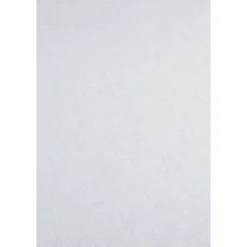 Sencys glasvliesbehang voorgeschilderd - 25 m - 190 g/m²