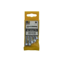 Sencys inbusbout CK M6x50mm per 5 gegalvaniseerd