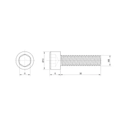 Sencys inbusbout CK M8x30mm per 5 gegalvaniseerd
