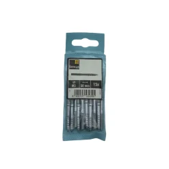 Sencys Metaalschroef Gegalvaniseerd Torx T25 - M5x50mm - 15 stuks
