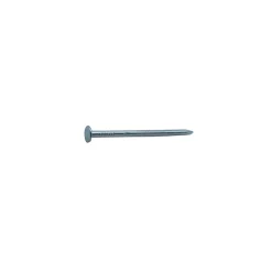Sencys Spijkers met Platte Kop Gegalvaniseerd 2,4x50mm - 30 stuks