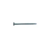 Sencys Spijkers met platte Kop Gegalvaniseerd 3x65mm - 20 stuks