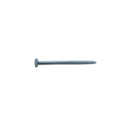 Sencys Spijkers met platte Kop Gegalvaniseerd 3x65mm - 20 stuks
