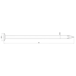 Sencys Spijkers met platte Kop Gegalvaniseerd 3x65mm - 20 stuks