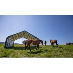 Shelterlogic Weidetent Sl58542 - 680x730x380cm - Groen