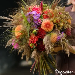 Organifer Snijbloemen Zadenpakket - 20 Soorten -