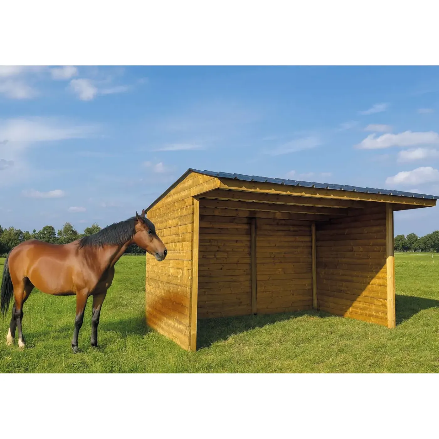 Solid Paardenstal Superia Shelter S7793 - Massief Hout - 40mm - 600x292cm