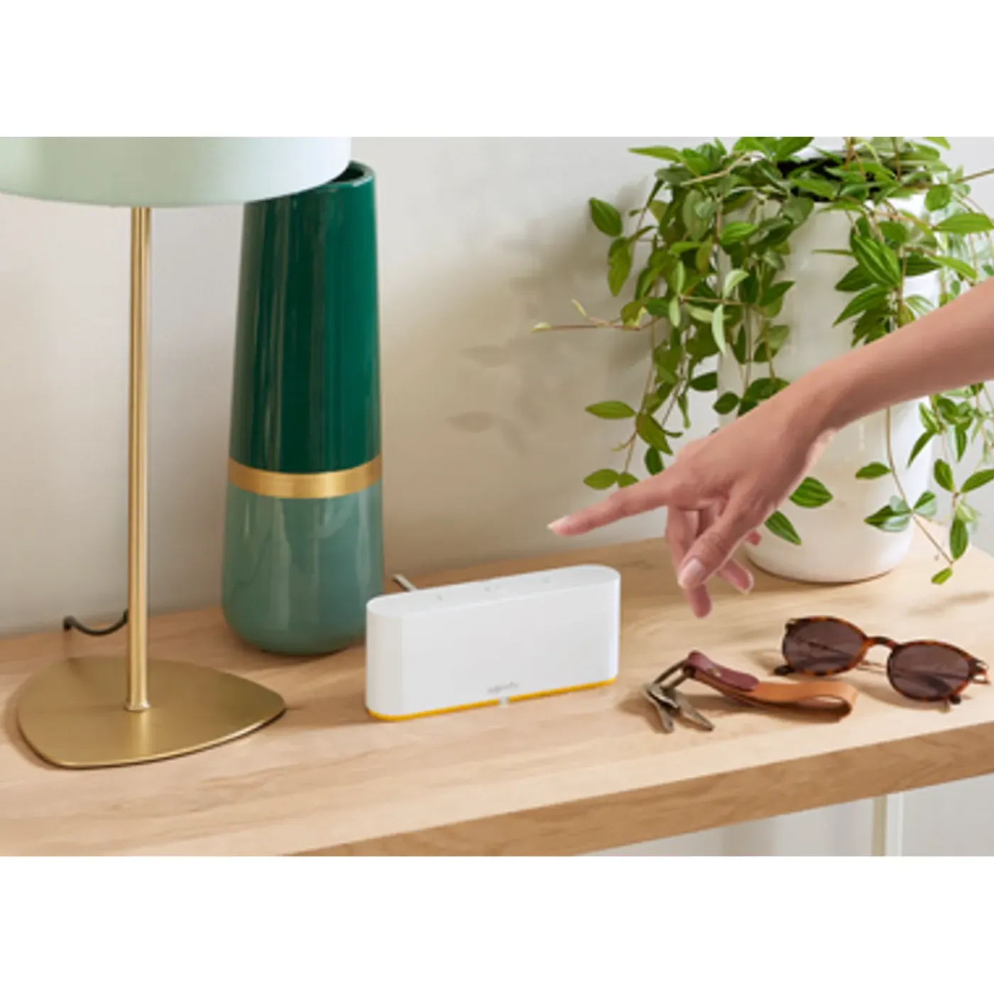 SOMFY TaHoma switch