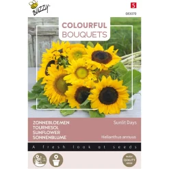 Sunlit Days (Zonnebloemen)