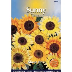 Sunny flowers zaden zonnebloem music box