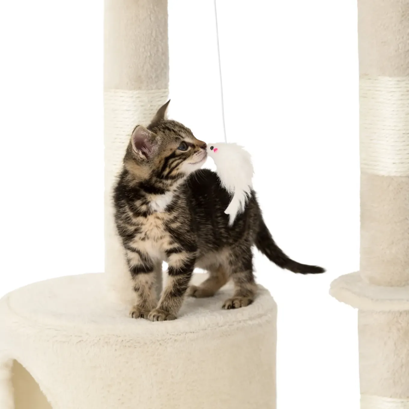 Tectake Krabpaal Dominik 144cm - Met Kattenhuisje - Beige