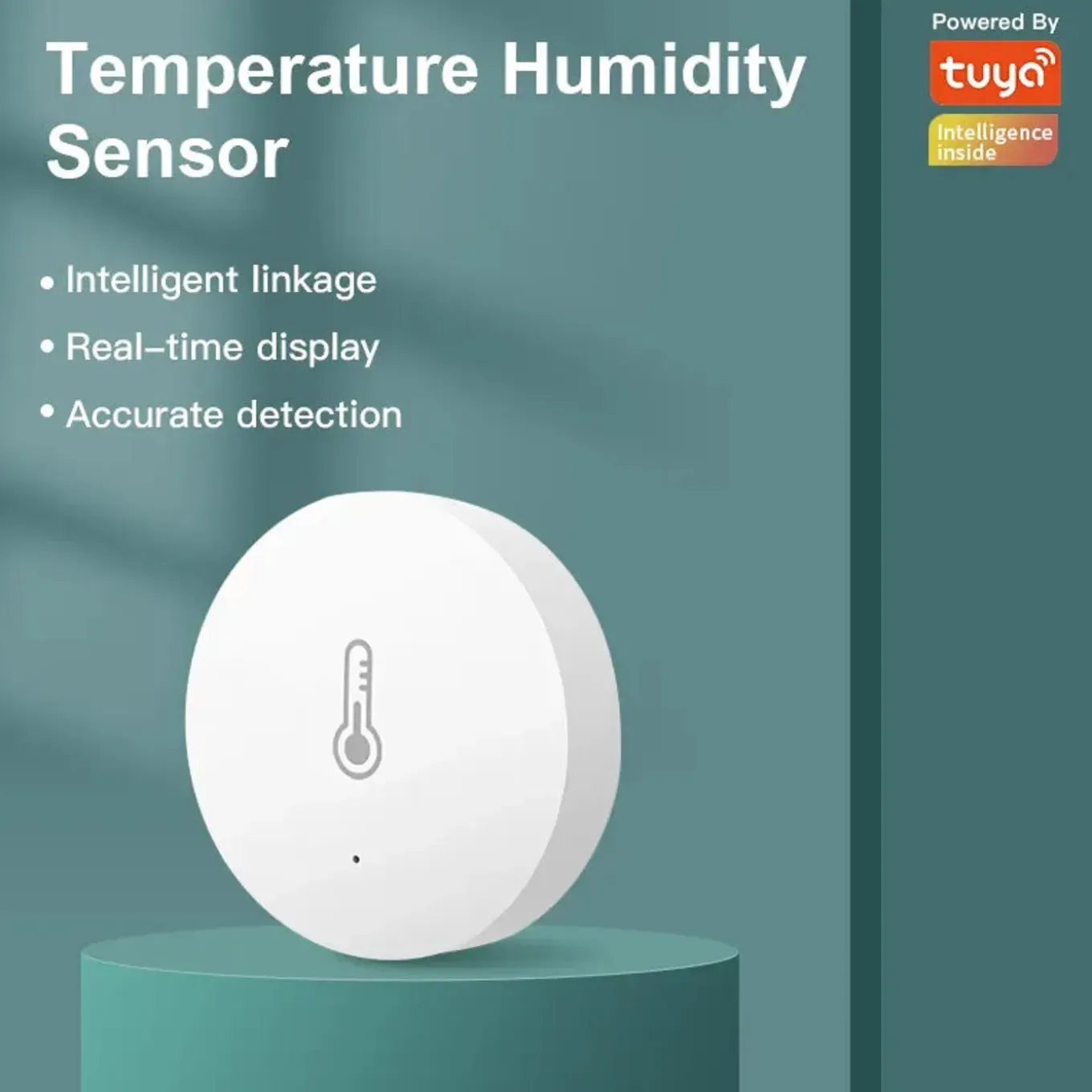 Thermometer En Hygrometer Voor Binnen Met Real Time Monitoring En Groot Display