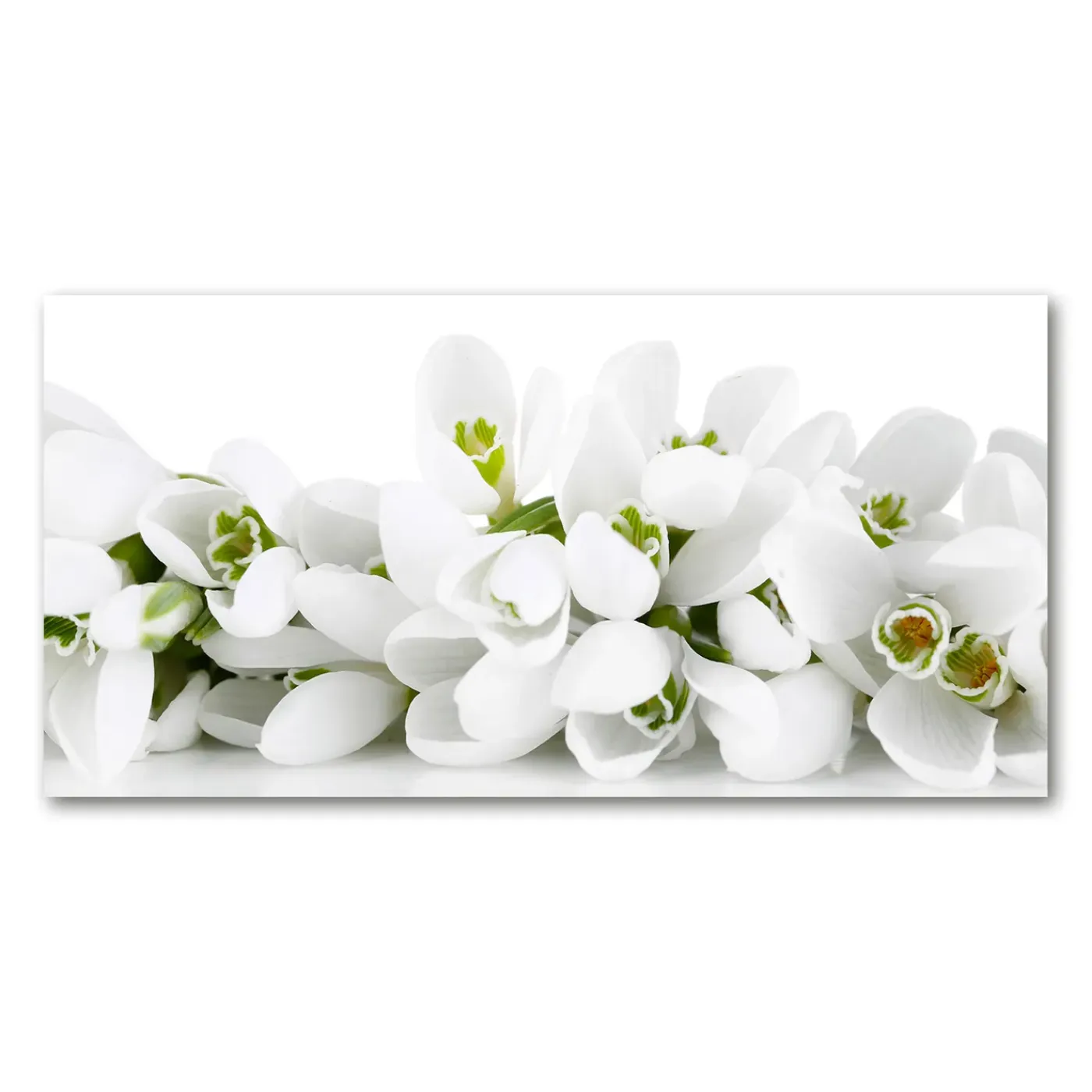 Tulup - Foto Op Glas - Witte Sneeuwklokjes - Wit - 120x60 Cm - Glas Schilderij