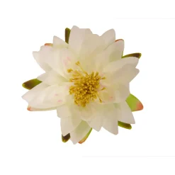 Ubbink Drijfbloem - Waterlelie - Crème - 16cm