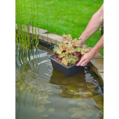 Ubbink polypropyleen mand voor waterplanten 10x20x20cm
