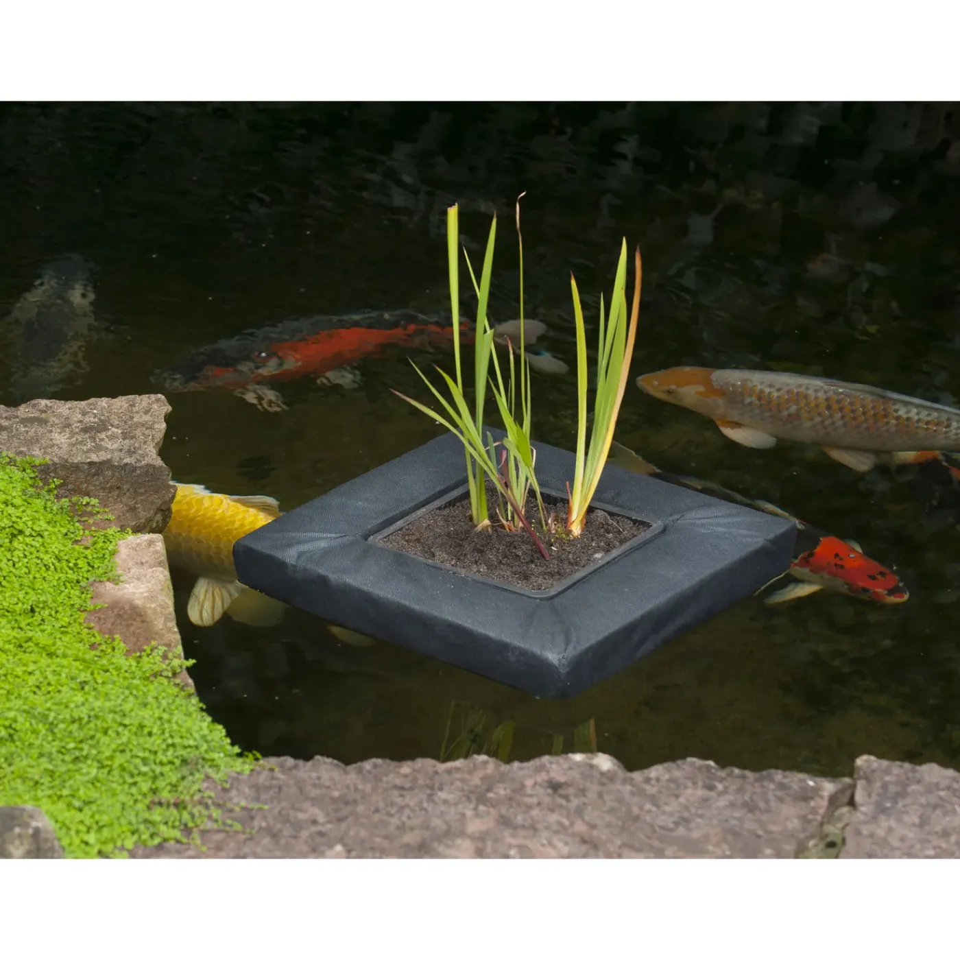 Ubbink swimplant vierkant 20x20cm