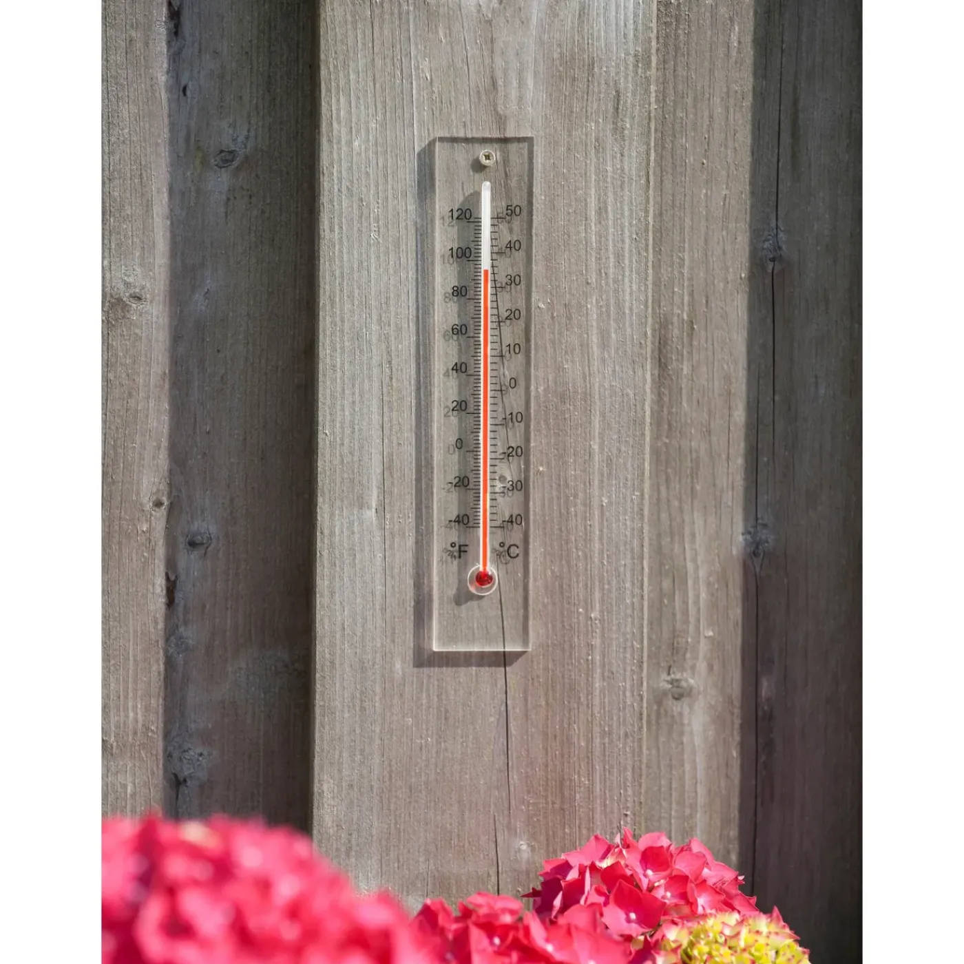Nature Ubbink wandthermometer van plexiglas 21x4x0,8cm