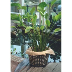 Ubbink waterplantmand rond Ø14x10cm