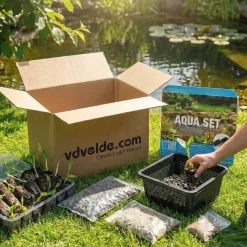 Vdvelde - Kattenstaart Lythrum Salicaria Vijverplant - 4 Planten Compleetset Met Mand & Substraat