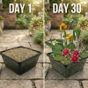 vdvelde - Mini-vijverplanten Set Roze - 4 Planten Incl. Mand - Vijverrand