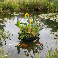 vdvelde - Planteneiland Vijver 25x25 Cm - 4 Planten Compleetset - Drijvend Eiland