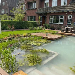 vdvelde - Pond Care Vijveronderhoud Tot 20.000l - Tegen Algen - Waterbehandeling
