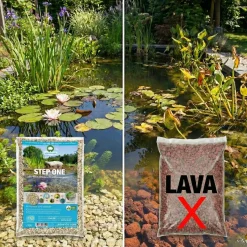 Vdvelde - Vijverpakket Inheems 100-400l - Witte Waterlelie & Zuurstofplanten Compleetset