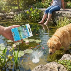 Vdvelde - Vijverpakket Inheems 100-400l - Witte Waterlelie & Zuurstofplanten Compleetset