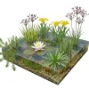 vdvelde - Vijverpakket Inheems 500-1250l - Witte Waterlelie & Zuurstofplanten Compleet - Winterhard