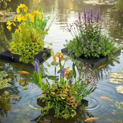 vdvelde - Vijverplanten Verrassingsset - 12 Waterplanten Incl. Planteneiland