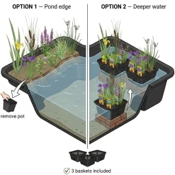 vdvelde - Vijverplanten Verrassingsset - 12 Waterplanten Incl. Witte Dwergwaterlelie