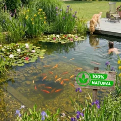 Vdvelde - Waterpest 5 Stuks - Zuurstofplant Vijver Winterhard - Anti Algen