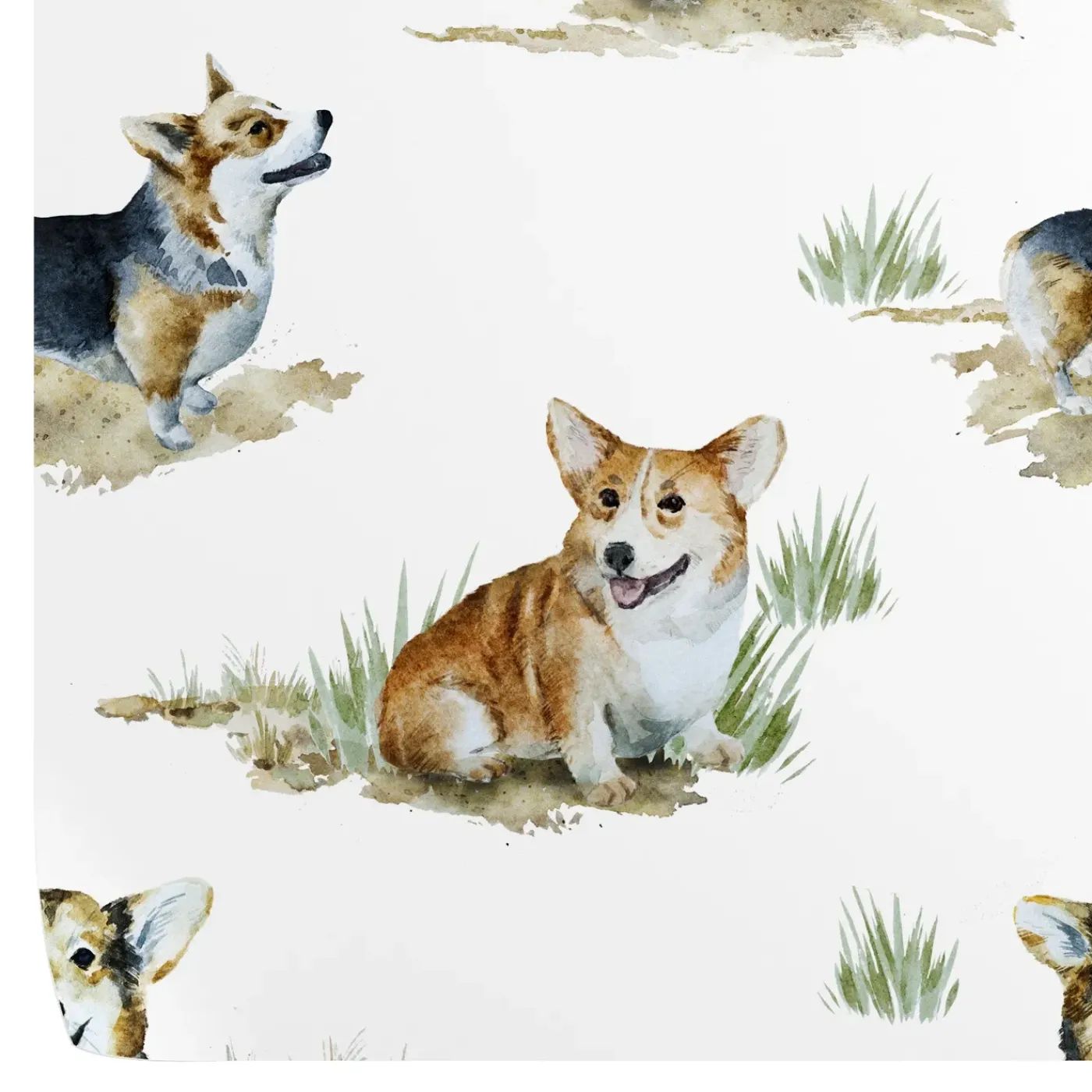 Wallpapers4beginners - Behang - Corgi - Vegan Papier - 280x200cm, 5,5m2