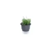 Waterform regenton PWA360TE 360l terracota