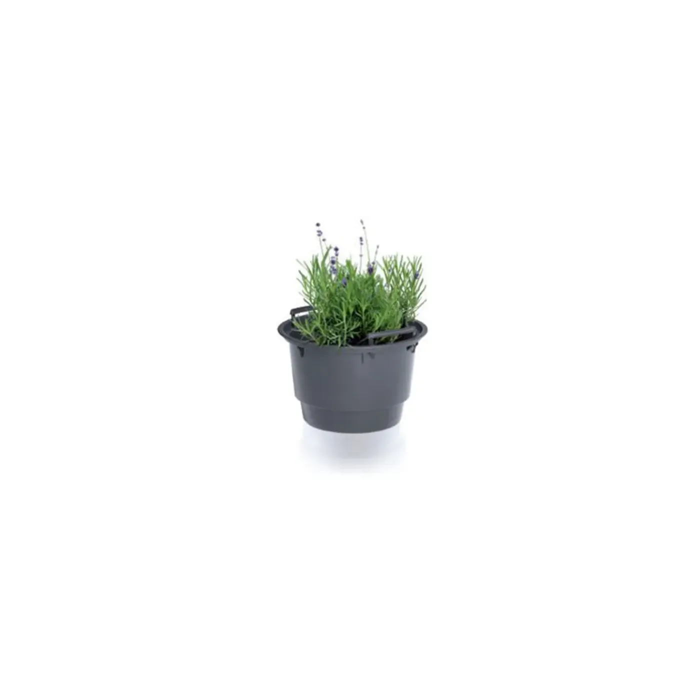 Waterform regenton PWA360TE 360l terracota