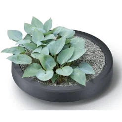 Waterform regenton PWV240G 240l grijs met plantenbak