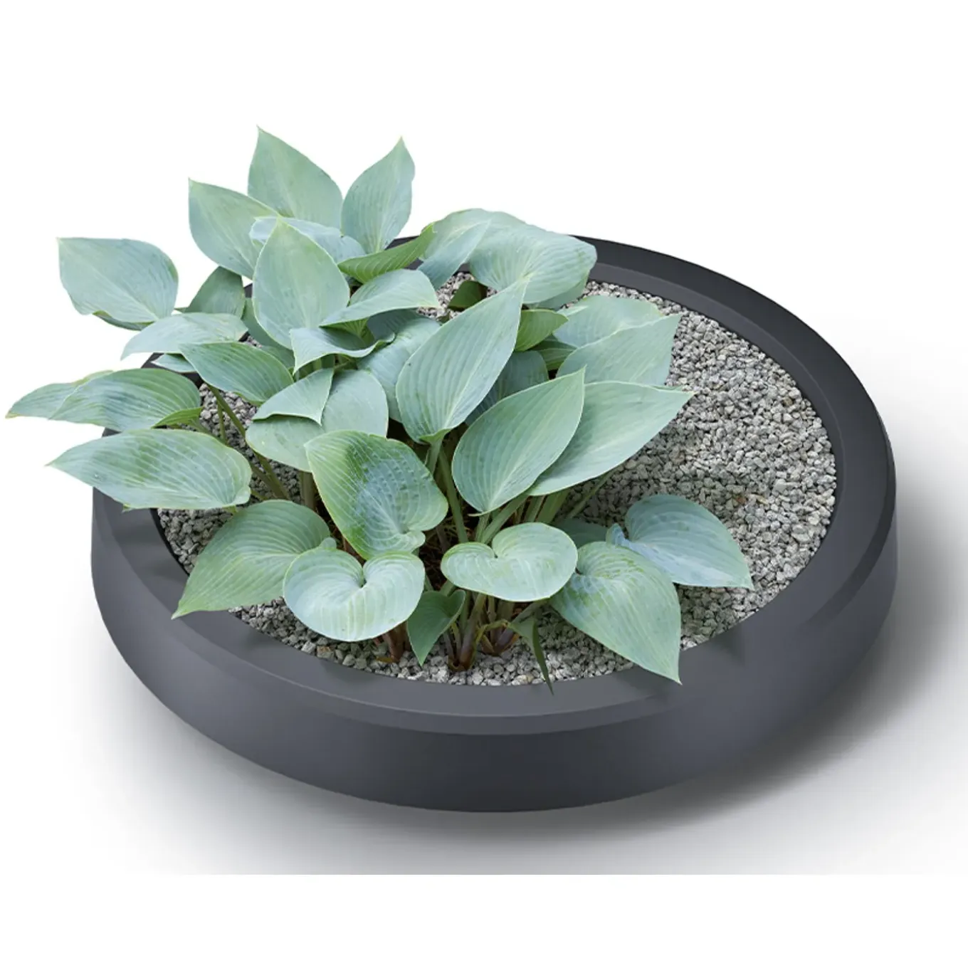 Waterform regenton PWV240G 240l grijs met plantenbak
