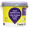 Saint Gobain Weber Weber pasta tegellijm - wand - Easy (D2TE) - 8kg
