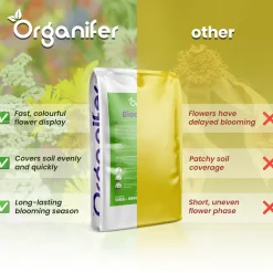 Organifer Wildbloemenmengsel - Biodiversity - 62 Soorten - 500 G Voor 250 M2 -