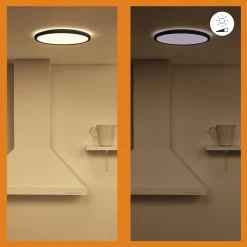 WiZ plafondlamp SuperSlim zwart ⌀29,2cm 16W